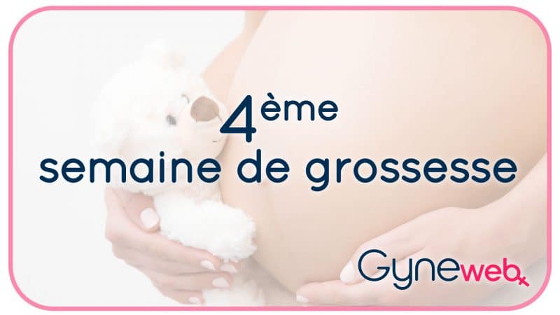 4-ème-semaine-grossesse