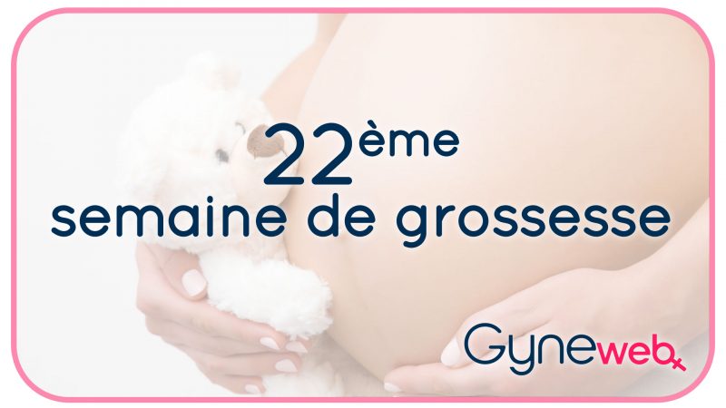 22-ème-semaine-grossesse