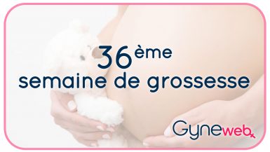 36-ème-semaine-grossesse