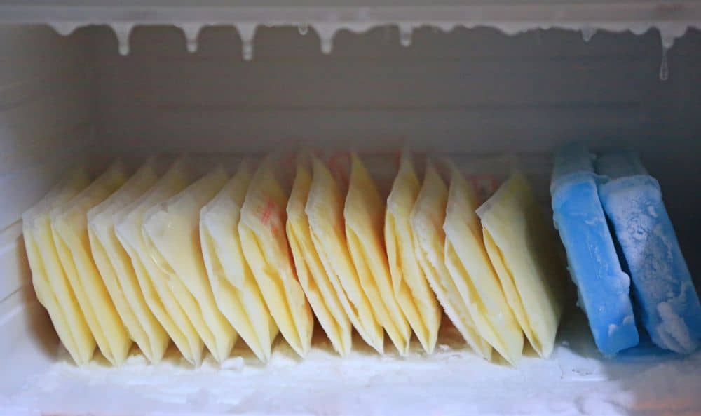 conservation du lait maternel